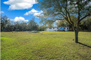 6250 150TH AVENUE, MORRISTON, FL 32668 - MLS#MFROM716103
