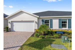 1183 TURTLE ISLAND RD, LADY LAKE, FL 32159 - MLS#MFROM716129