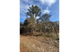 LOCUST RADIAL, OCALA, FL 34472 Sold 02/02/26