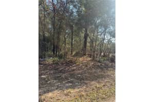 LOCUST RADIAL, OCALA, FL 34472 Sold 02/02/26