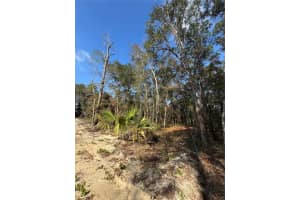 LOCUST RADIAL, OCALA, FL 34472 Sold 02/02/26