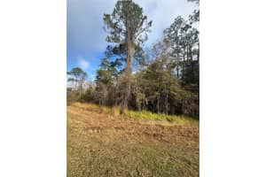 LOCUST RD, OCALA, FL 34472 Sold 03/21/26