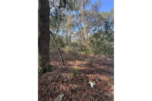 LOCUST RUN RADL, OCALA, FL 34472 Sold 02/26/26