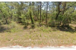 156 REDWING ROAD, DUNNELLON, FL 34431 - MLS#MFROM716188