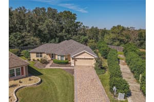 13166 86TH CIRCLE, SUMMERFIELD, FL 34491 - MLS#MFROM716192