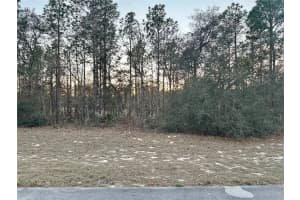 0 SW 129TH PL, OCALA, FL 34473 Sold 03/16/26