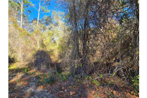 3257 KENNEDY STREET, INVERNESS, FL 34453 Sold 03/31/26