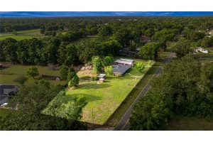 6497 ANTHONY ROAD, OCALA, FL 34479 - MLS#MFROM716244