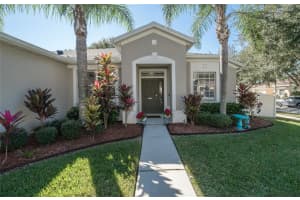 11329 BRIDGE PINE DRIVE, RIVERVIEW, FL 33569 - MLS#MFROM716294