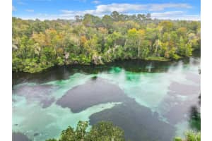 10020 202ND CIRCLE, DUNNELLON, FL 34431 - MLS#MFROM716314