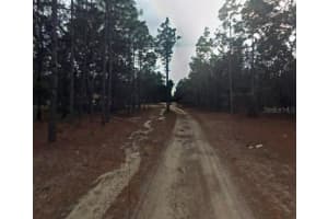 3858 OSPREY POINT, INVERNESS, FL 34450 - MLS#MFROM716344