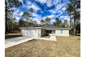 18925 47TH STREET, DUNNELLON, FL 34432 - MLS#MFROM716358