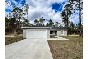 18925 47TH STREET, DUNNELLON, FL 34432 - MLS#MFROM716358