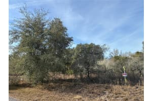 SE 126TH TER, DUNNELLON, FL 34431 - MLS#MFROM716370