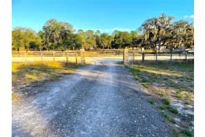 3388 165TH AVENUE ROAD, OCALA, FL 34481 - MLS#MFROM716374