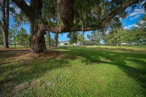 10025 28TH PLACE, OCALA, FL 34482 - MLS#MFROM716431