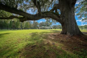 10025 28TH PLACE, OCALA, FL 34482 - MLS#MFROM716431