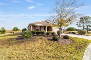 10009 88TH LOOP, OCALA, FL 34481 - MLS#MFROM716457