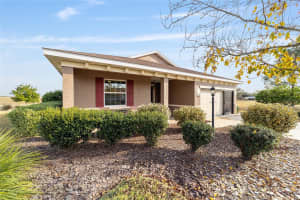 10009 88TH LOOP, OCALA, FL 34481 - MLS#MFROM716457