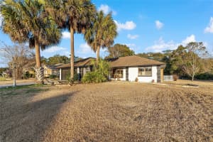 10217 74TH TERRACE, OCALA, FL 34476 - MLS#MFROM716474