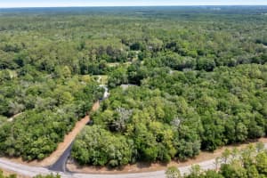 10233 ATHENIA DRIVE, CITRUS SPRINGS, FL 34434 Sold 02/24/26