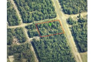 1286 EVERGREEN DRIVE, CITRUS SPRINGS, FL 34434 - MLS#MFROM716523