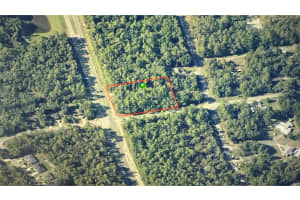 1286 EVERGREEN DRIVE, CITRUS SPRINGS, FL 34434 - MLS#MFROM716523