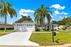 13864 85TH COURT, SUMMERFIELD, FL 34491 - MLS#MFROM716525