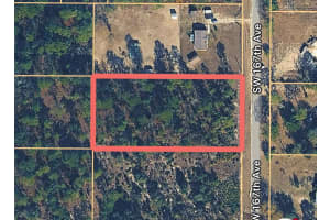 0000 167TH AVENUE, OCALA, FL 34481 - MLS#MFROM716528
