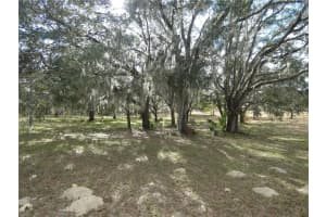 10887 CIRCLE M AVENUE, DUNNELLON, FL 34433 - MLS#MFROM716546