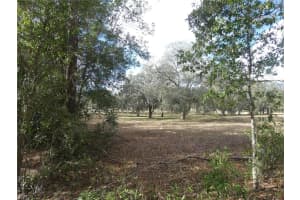10887 CIRCLE M AVENUE, DUNNELLON, FL 34433 - MLS#MFROM716546