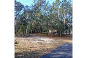 2626 COLUMBINE AVENUE, HOMOSASSA, FL 34448 - MLS#MFROM716562