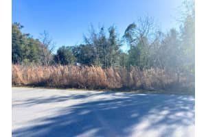 0000 6TH PLACE, OCALA, FL 34482 - MLS#MFROM716570