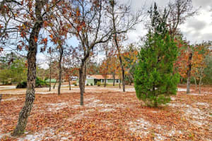 10370 110TH STREET, DUNNELLON, FL 34432 - MLS#MFROM716631