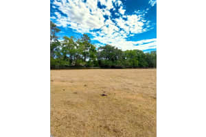 TBD W HWY 326, OCALA, FL 34482 - MLS#MFROM716669