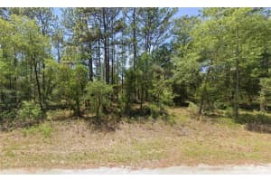 1110 REDWOOD DRIVE, DUNNELLON, FL 34431 - MLS#MFROM716676