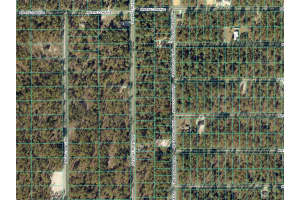 1110 REDWOOD DRIVE, DUNNELLON, FL 34431 - MLS#MFROM716676