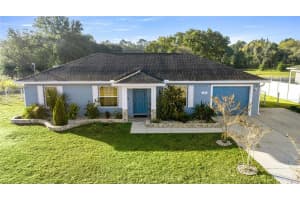 60 DOGWOOD DRIVE PASS, OCALA, FL 34472 - MLS#MFROM716691