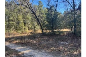 0000 9TH PLACE, OCALA, FL 34482 - MLS#MFROM716702