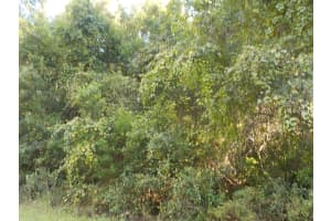 11641 KENLAKE CIRCLE, DUNNELLON, FL 34434 - MLS#MFROM716706