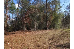 Lot 18 156 STREET, OCALA, FL 34473 - MLS#MFROM716718