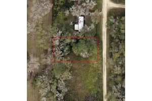 1800 134TH COURT, OCALA, FL 34481 - MLS#MFROM716760