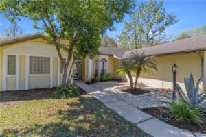 221 NASHVILLE AVENUE, HERNANDO, FL 34442 - MLS#MFROM716768