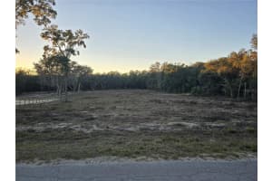 SW 136TH CT. RD, DUNNELLON, FL 34432 - MLS#MFROM716774