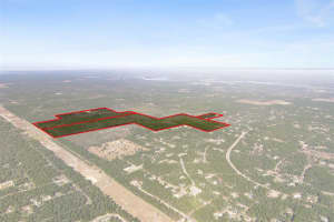 7759 FREEMANTLE WAY, DUNNELLON, FL 34433 - MLS#MFROM716776