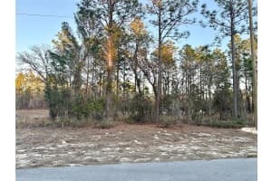 0 88TH COURT, OCALA, FL 34473 - MLS#MFROM716801