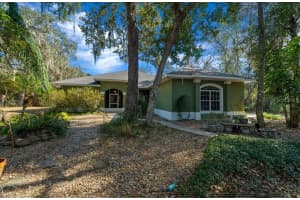 16731 181ST TERRACE, WEIRSDALE, FL 32195 - MLS#MFROM716842