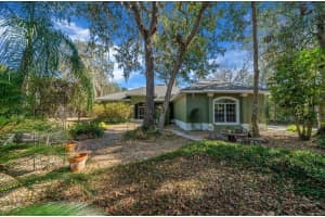 16731 181ST TERRACE, WEIRSDALE, FL 32195 - MLS#MFROM716842