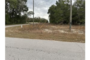SW SHOREWOOD DR, DUNNELLON, FL 34431 - MLS#MFROM716856