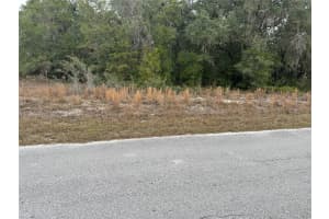 SW SHOREWOOD DR, DUNNELLON, FL 34431 - MLS#MFROM716856